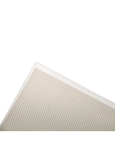 Micas Fantasía 300mic T/Oficio 100 und